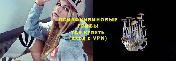 амф Абдулино