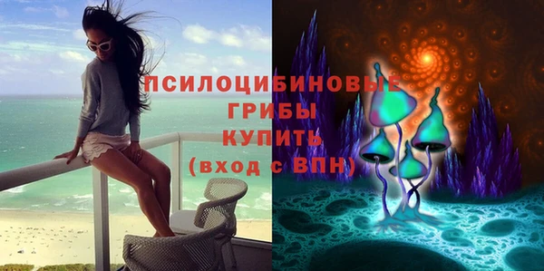 амф Абдулино
