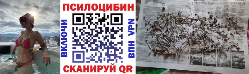 Галлюциногенные грибы мухоморы  Юхнов 